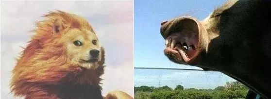 自动感应门常开关不上怎么办