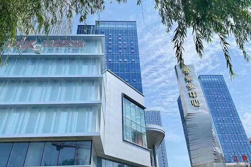 莱安中心五星级办公室铜门