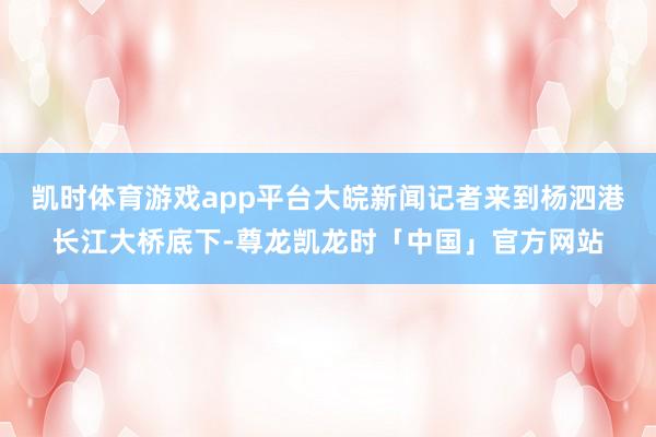 凯时体育游戏app平台大皖新闻记者来到杨泗港长江大桥底下-尊龙凯龙时「中国」官方网站