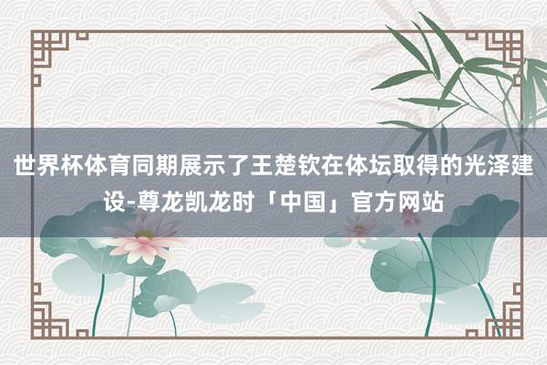世界杯体育同期展示了王楚钦在体坛取得的光泽建设-尊龙凯龙时「中国」官方网站