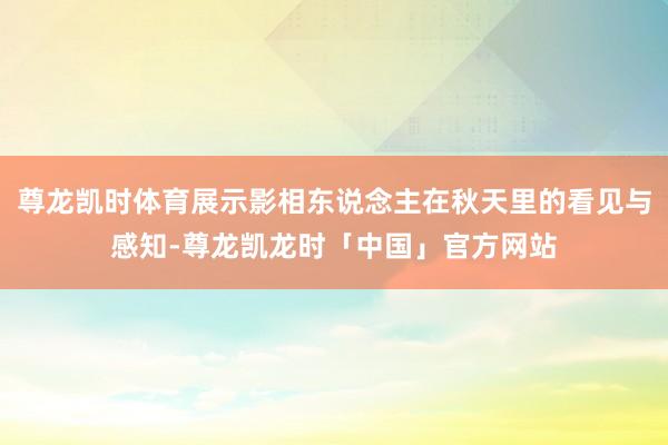 尊龙凯时体育展示影相东说念主在秋天里的看见与感知-尊龙凯龙时「中国」官方网站