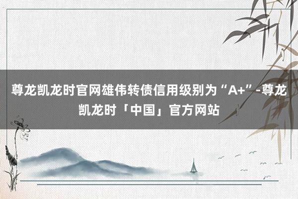 尊龙凯龙时官网雄伟转债信用级别为“A+”-尊龙凯龙时「中国」官方网站