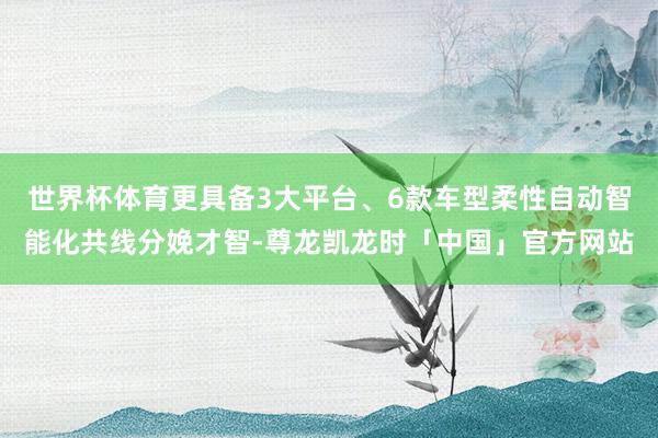 世界杯体育更具备3大平台、6款车型柔性自动智能化共线分娩才智-尊龙凯龙时「中国」官方网站