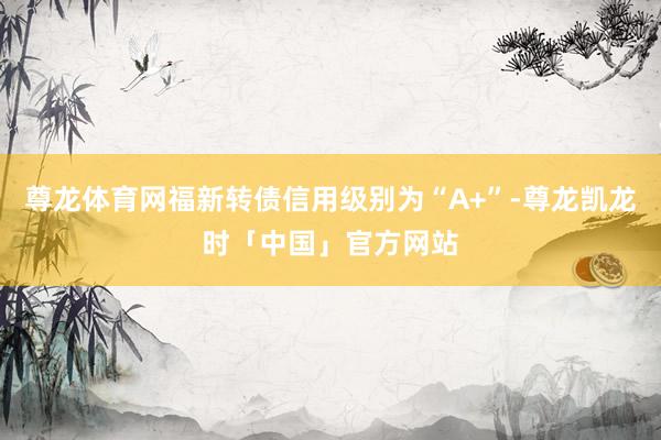 尊龙体育网福新转债信用级别为“A+”-尊龙凯龙时「中国」官方网站